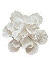 Набір цукрового кондитерського декору для тортиків "Пелюстки" (22 шт) Білі